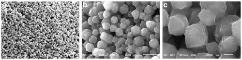 Method for preparing integrated molecular sieve blocks on basis of 3D printing technology