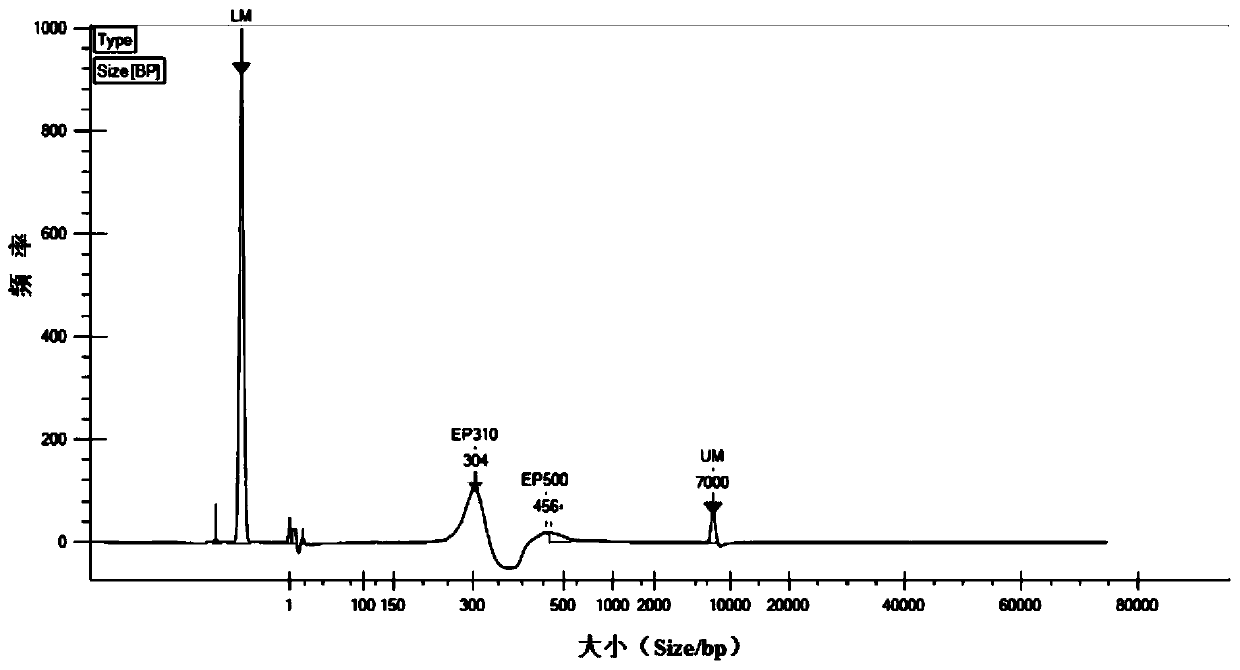 Plasma DNA library and construction method thereof