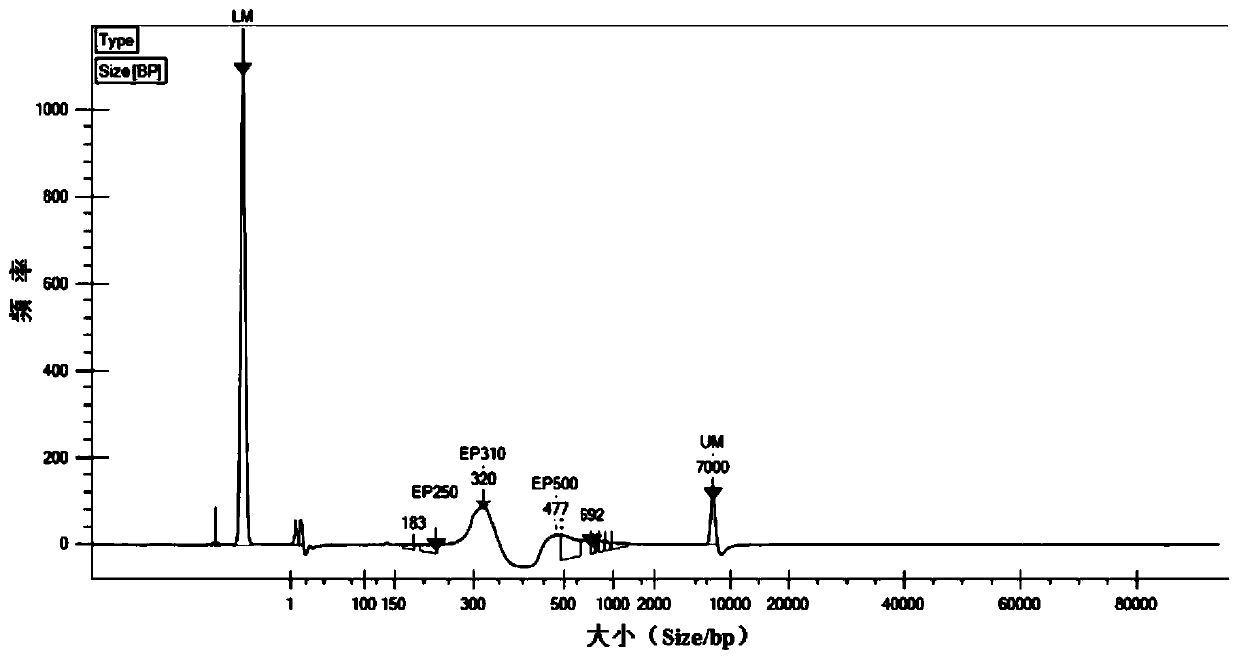 Plasma DNA library and construction method thereof