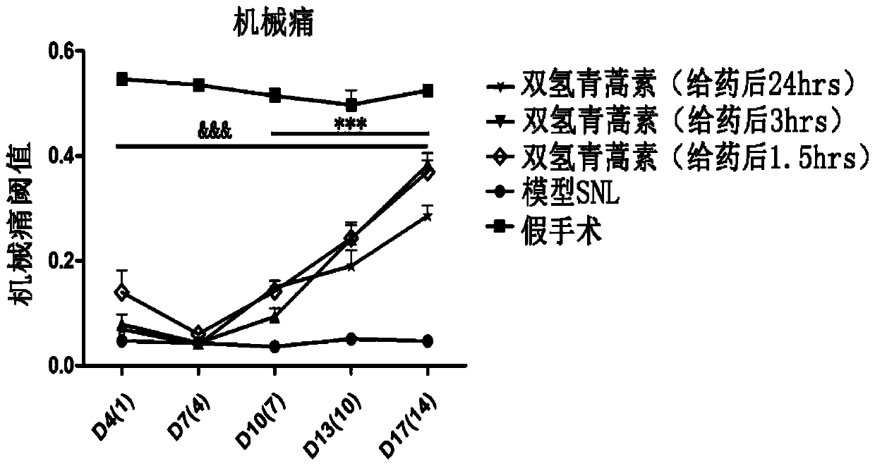 Application of Artemisinin Compounds in the Preparation of Medicines for Treating Neuropathic Pain and/or Complications