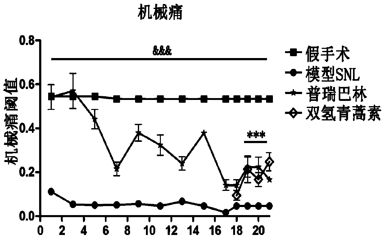 Application of Artemisinin Compounds in the Preparation of Medicines for Treating Neuropathic Pain and/or Complications