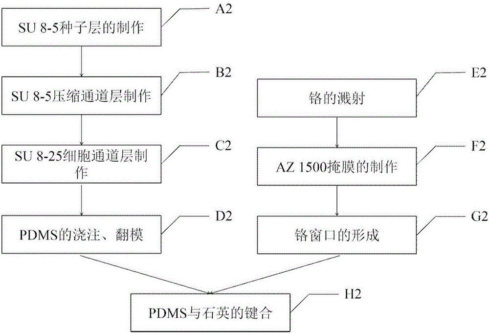 Single cell protein detection system and application thereof