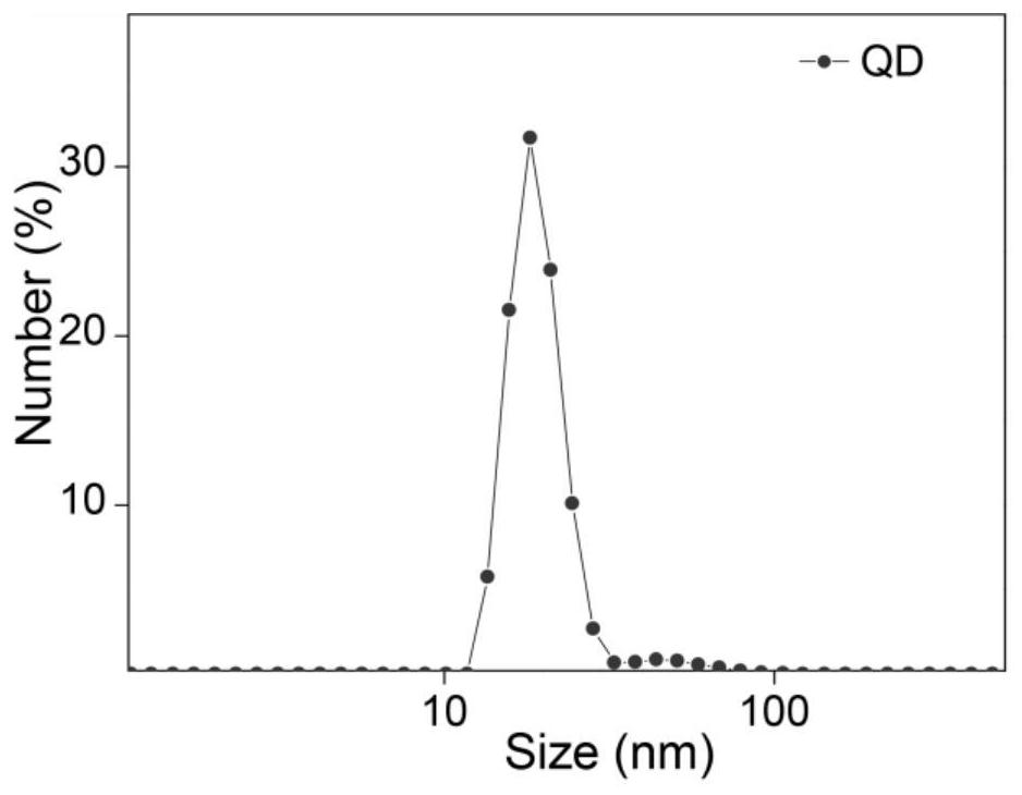 Surface biocompatibility modification method of semiconductor nanocrystal