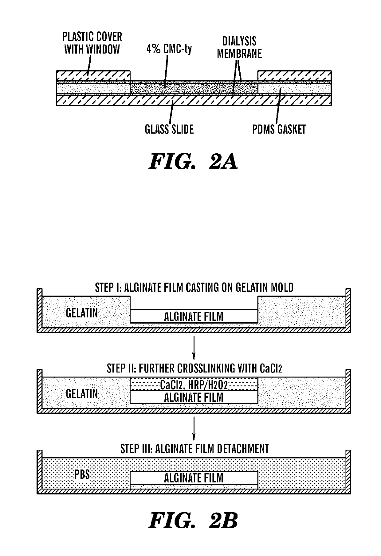 Multi-layered cell constructs and methods of use and production using enzymatically degradable natural polymers