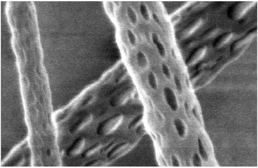 A kind of fiber clothing material with antibacterial health care function and its preparation process