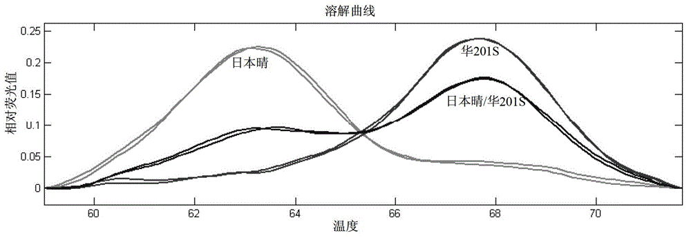 Primer applied to rice photosensitive male nucleic male sterility gene lncR parting and application thereof