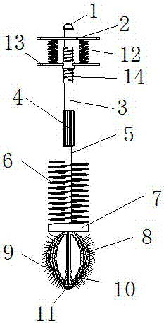 Telescopic test-tube brush for agricultural strain culturing