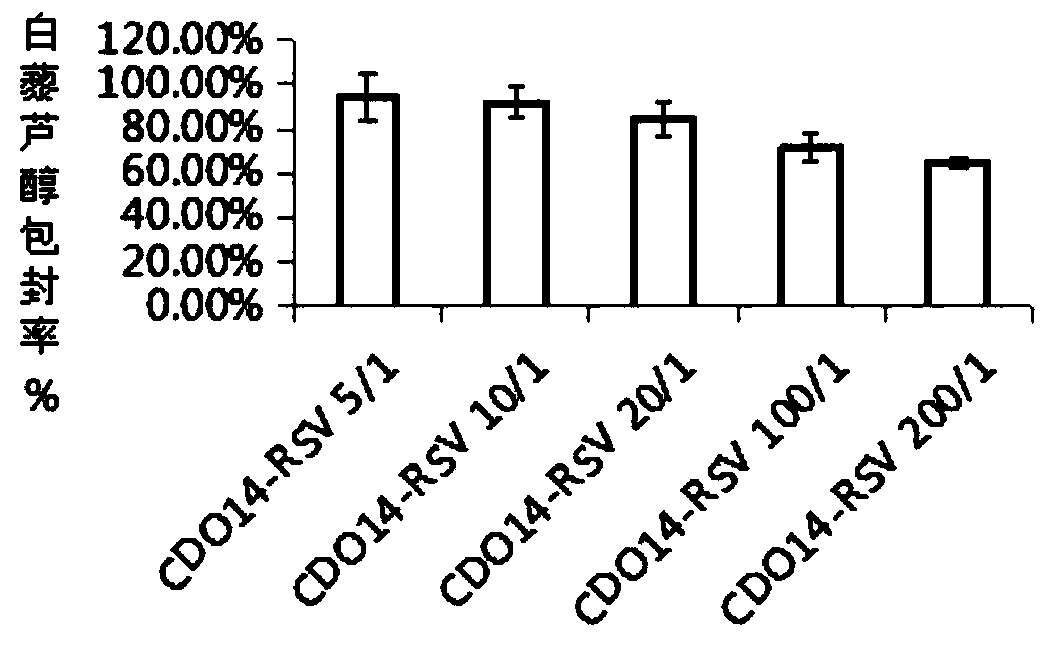 Application of drug lipidosome/p53 gene complex substance