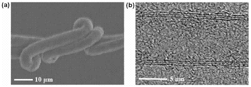 Organic solar cell based on carbon nanotube fiber and preparation method thereof