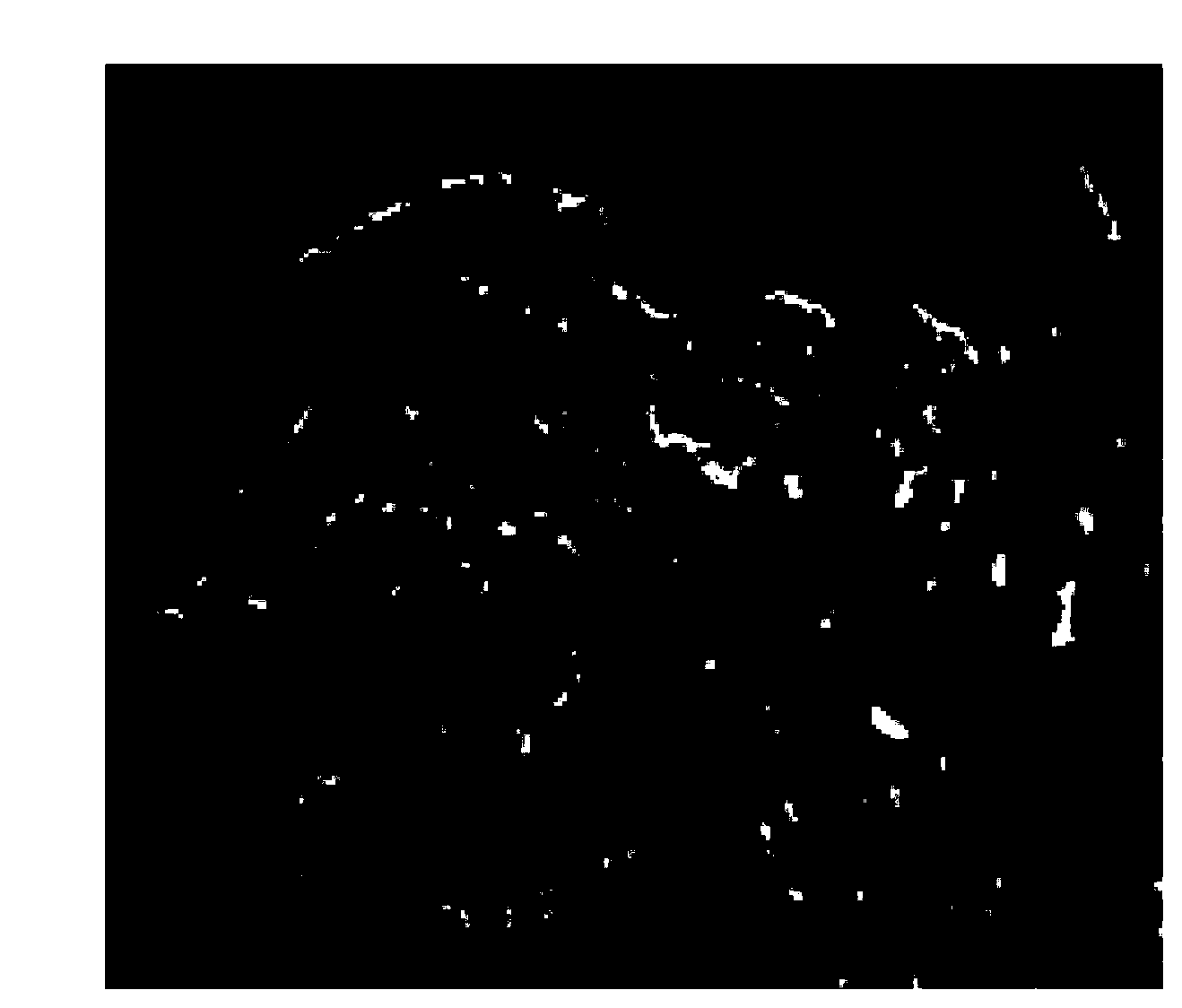 Nanometer fire retardant coating and preparation method thereof