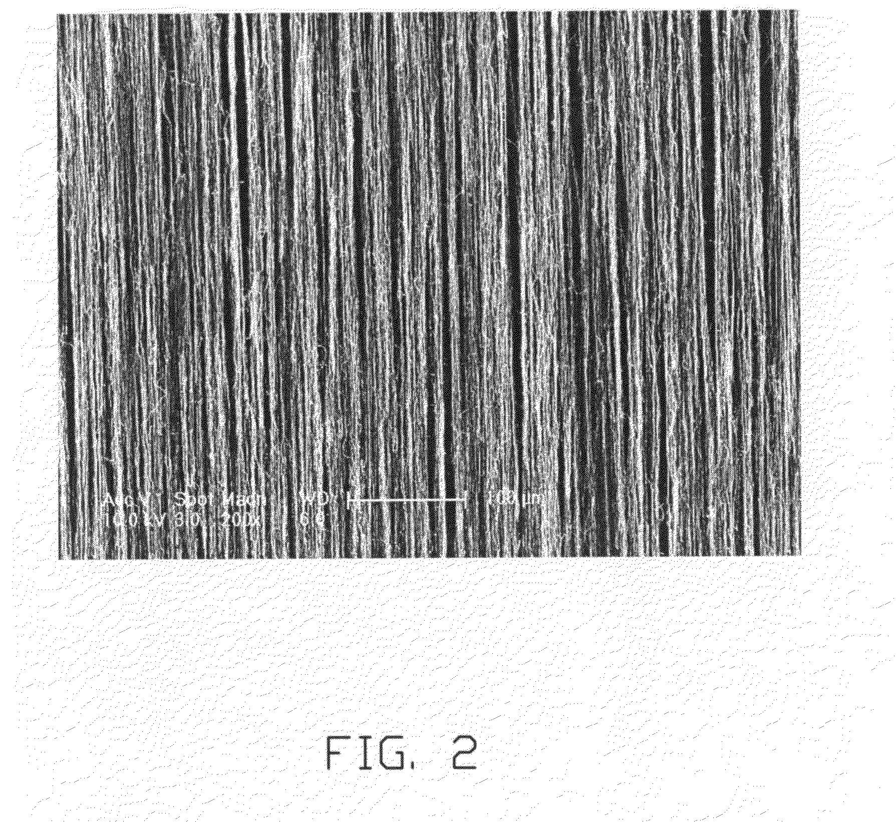 Carbon nanotube composite and method for fabricating the same