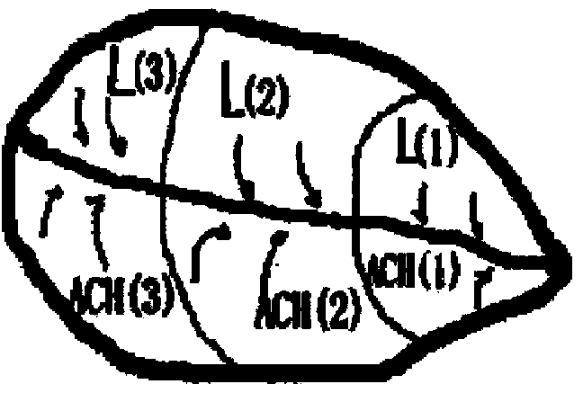 Linear reservoir retention confluence and nested watershed (multiple sub watersheds) confluence method