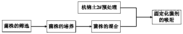 Immobilized bactericide capable of realizing in-situ restoration of polluted sediment and preparation method and application thereof