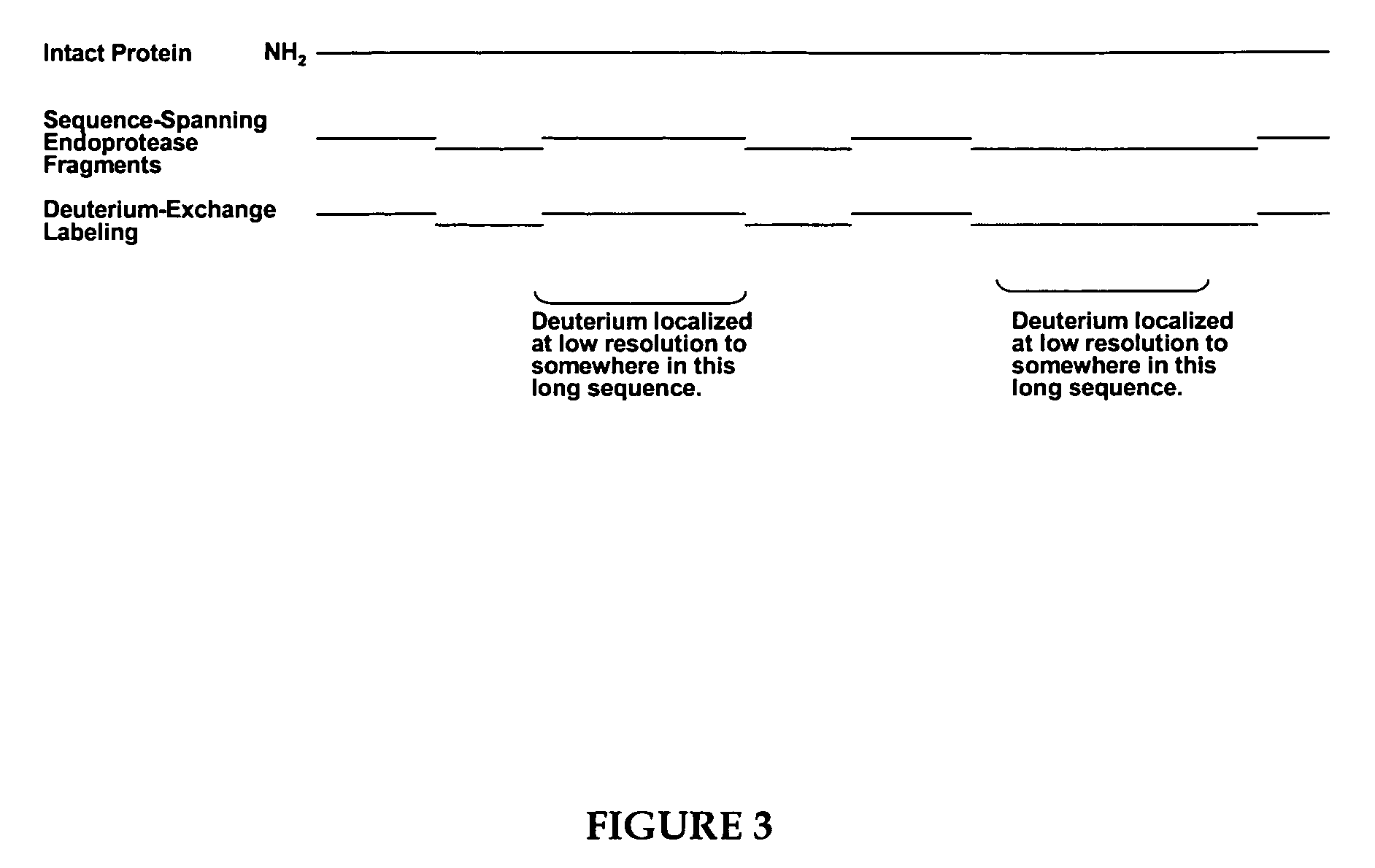 Methods for crystallographic structure determination employing hydrogen exchange analysis