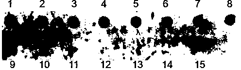 Method for quickly and sensitively detecting micromolecule RNA