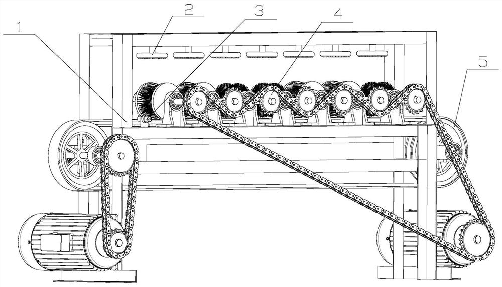 A sea cucumber surface cleaning device with profiling multi-rolling brushes