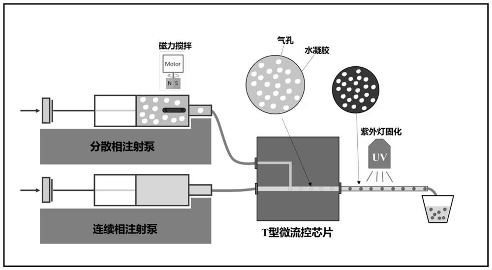 A Double Negative Acoustic Metamaterial Based on Mie Resonance for Transcranial Ultrasound Imaging