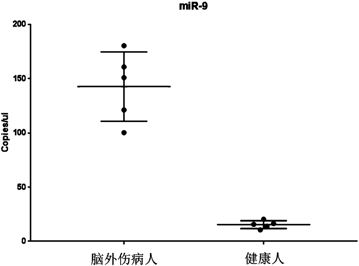 MiRNA marker for detecting brain injury, kit, application