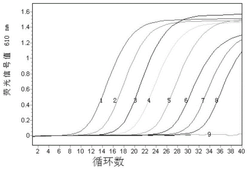 Duck Tembusu virus and Egg Drop Syndrome Virus Duplex Fluorescent Quantitative RT-PCR Detection Kit