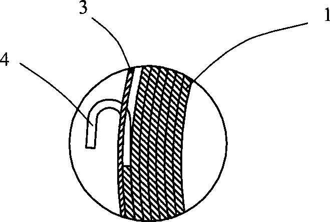 Plane scroll spring