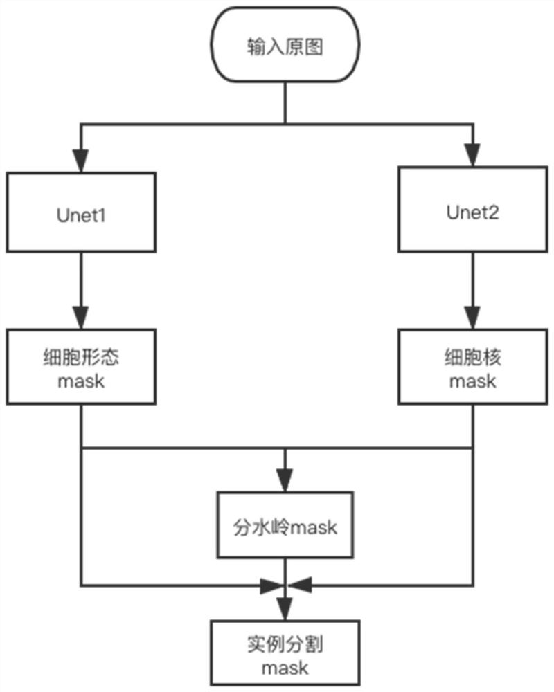 Cell instance segmentation method based on Unet and watershed algorithm