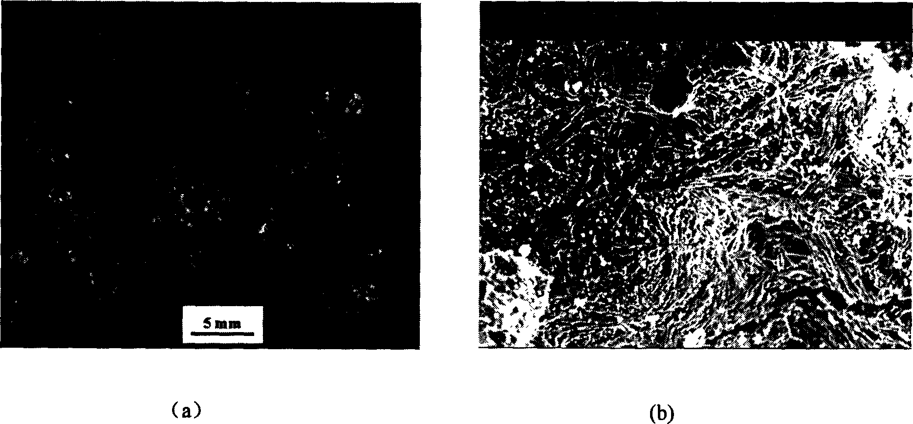 Process for preparing titanium silicon carbon ceramic powder