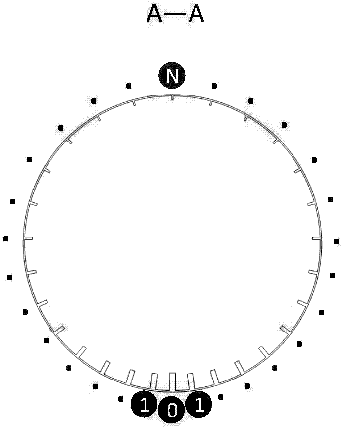 Gradient distribution type rib barrel shell structure