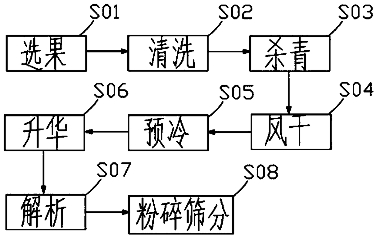 Preparation method of freeze-dried powder of cerasus humilis and cerasus humilis health-care product