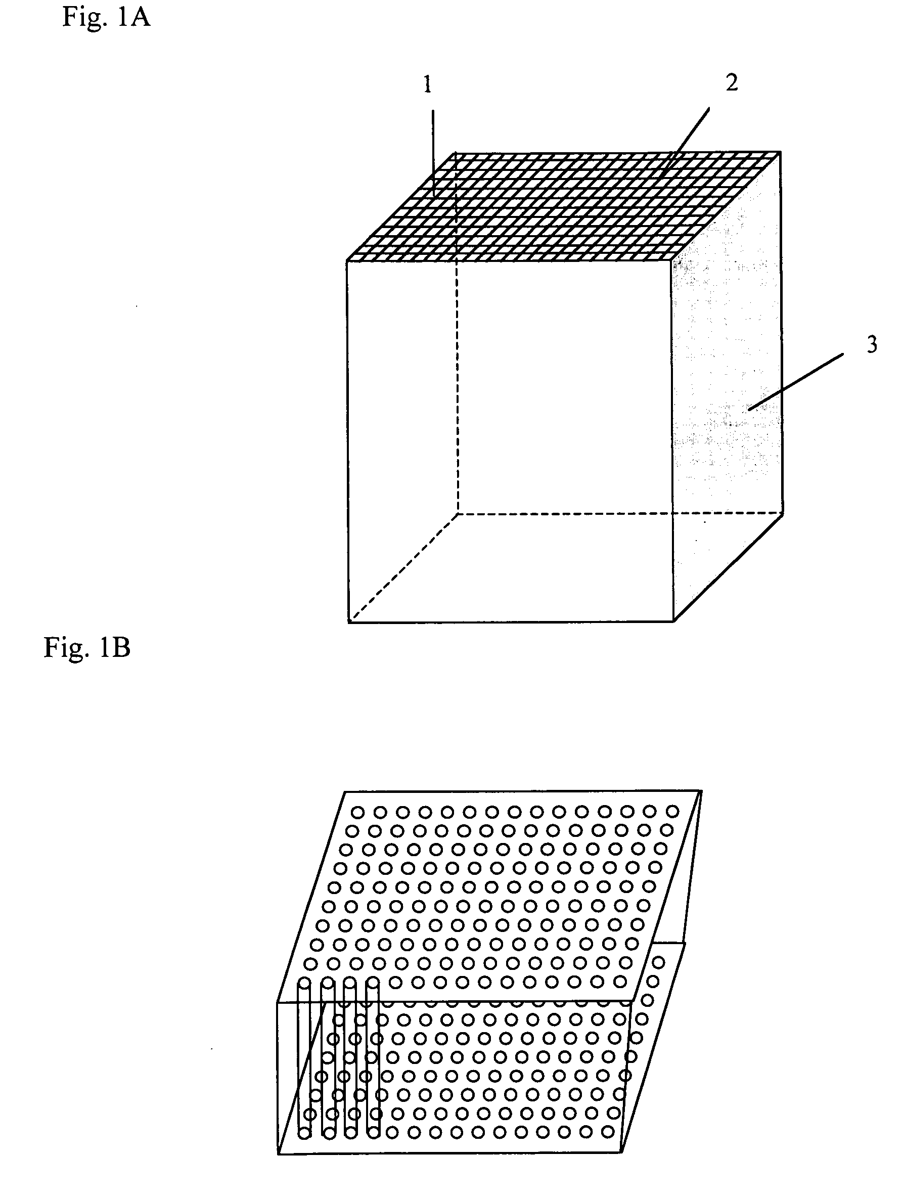 Large-scale parallelized DNA sequencing