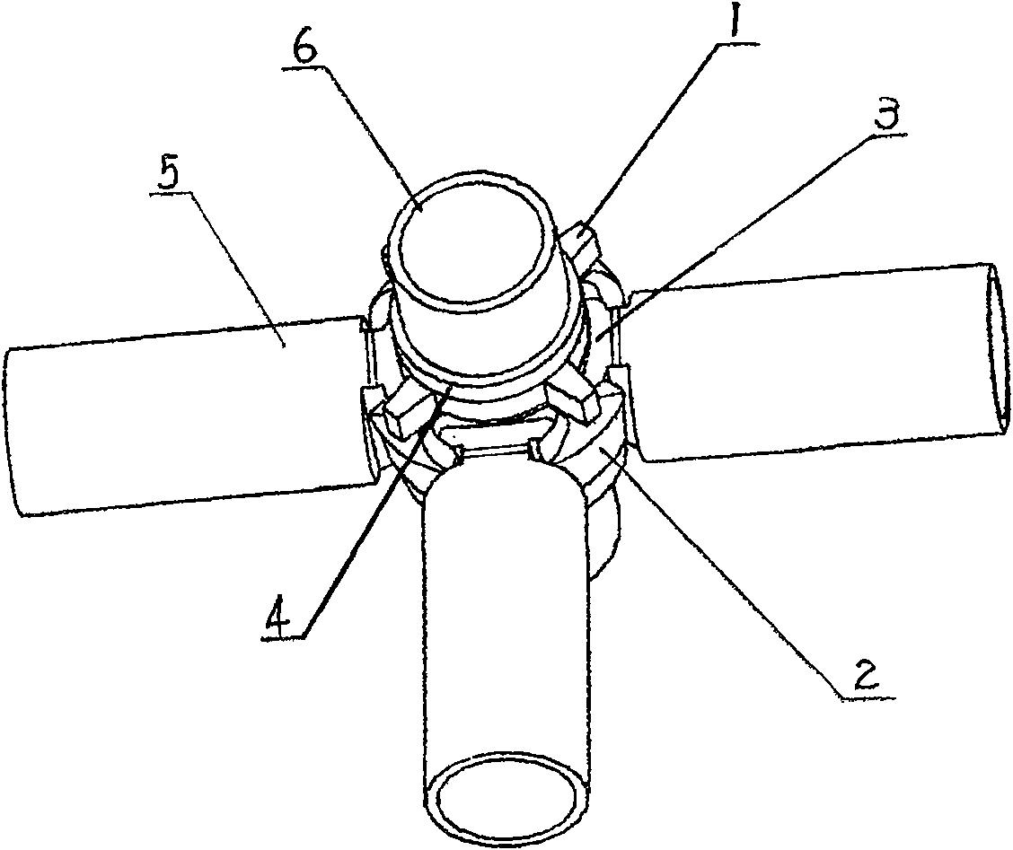 Plug-fastened self-locking exterior scaffold