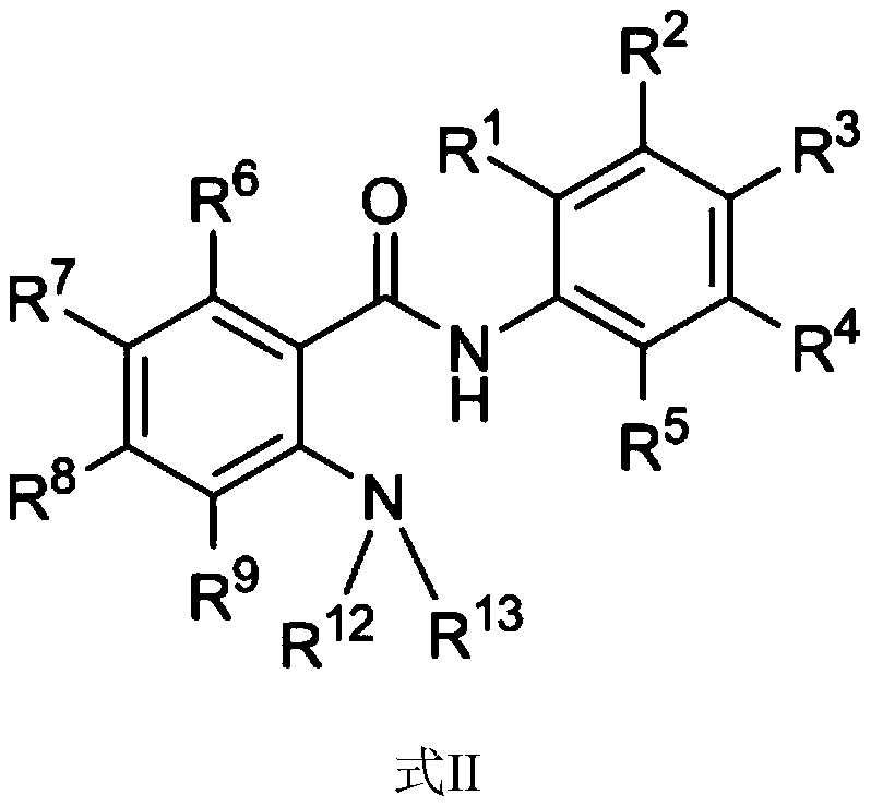 Amide compound and application thereof in treating cancer