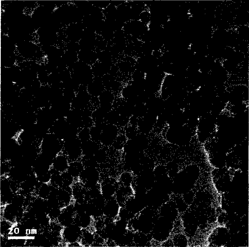 Method for preparing protein magnetic blotting nanospheres