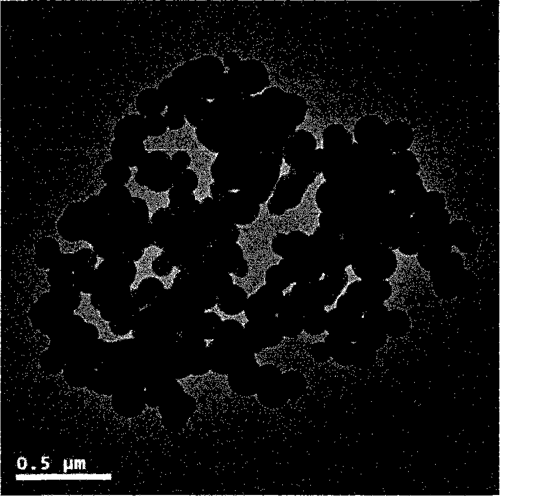 Method for preparing protein magnetic blotting nanospheres