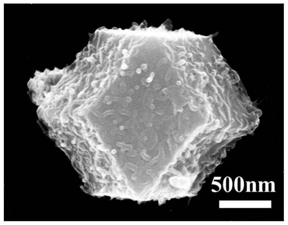 Preparation method of micron cobalt disulfide composite material