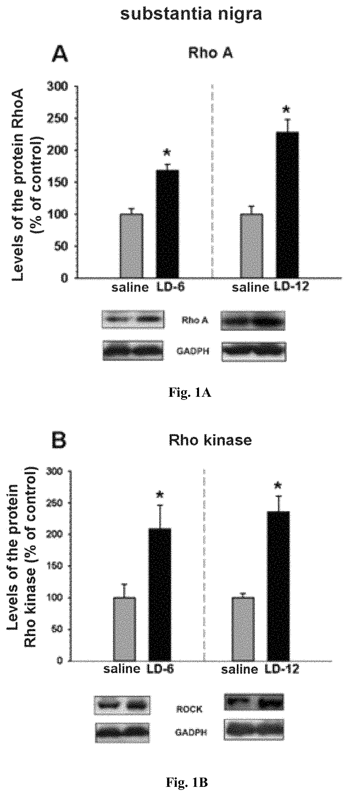 Pharmaceutical composition for use in the prophylactic and/or therapeutic treatment of L-DOPA-induced dyskinesia