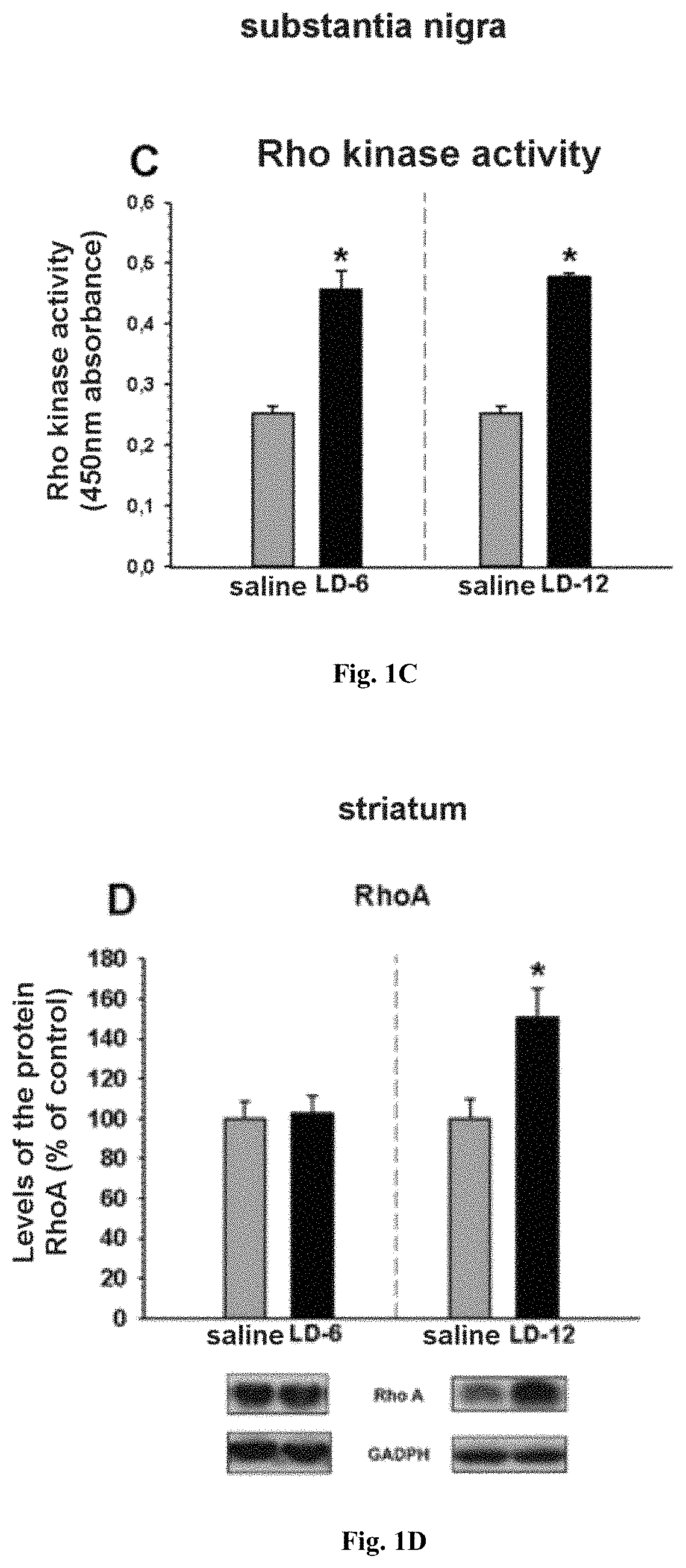 Pharmaceutical composition for use in the prophylactic and/or therapeutic treatment of L-DOPA-induced dyskinesia