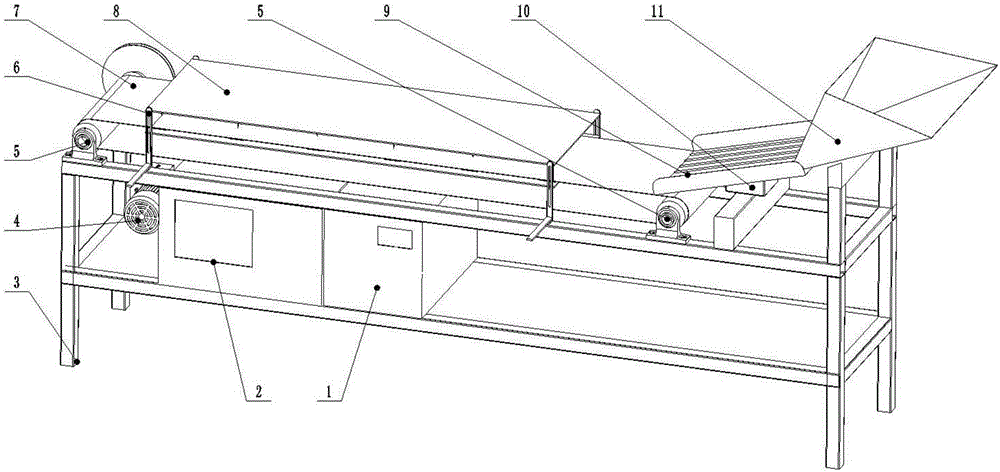 Plasma sterilization equipment for ensiling raw materials and method