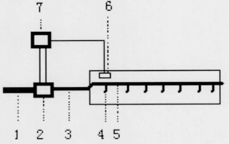 A kind of method for rapid propagation of hibiscus cuttings