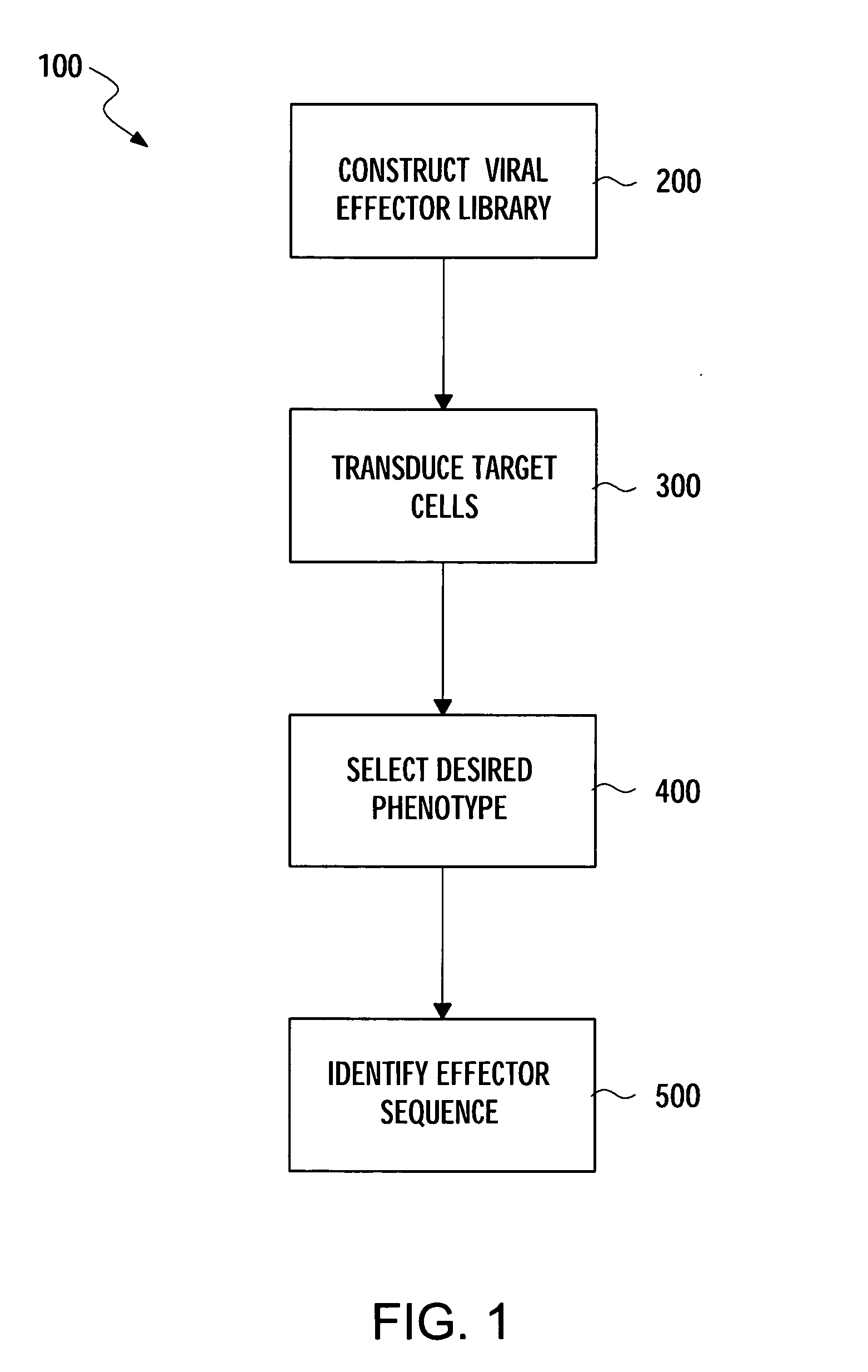 Methods for gene function analysis