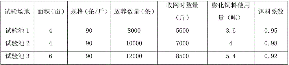 Expanded compound feed for siniperca chuatsi and preparation method thereof