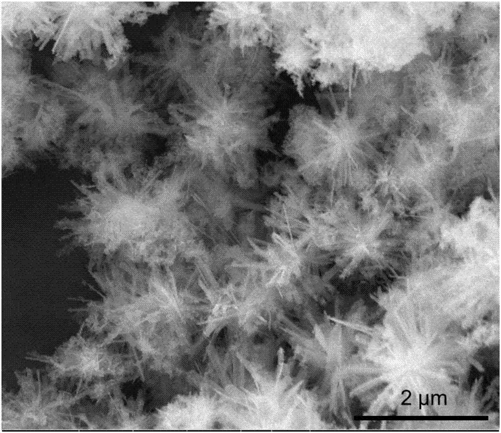 A preparation method of α-feooh three-dimensional multi-level microspheres