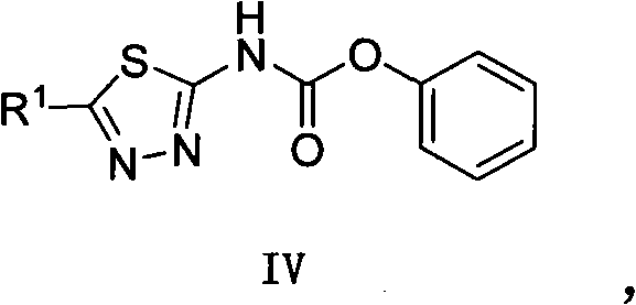 Asymmetric heterocyclic ring substituent urea compound and preparation method and application thereof