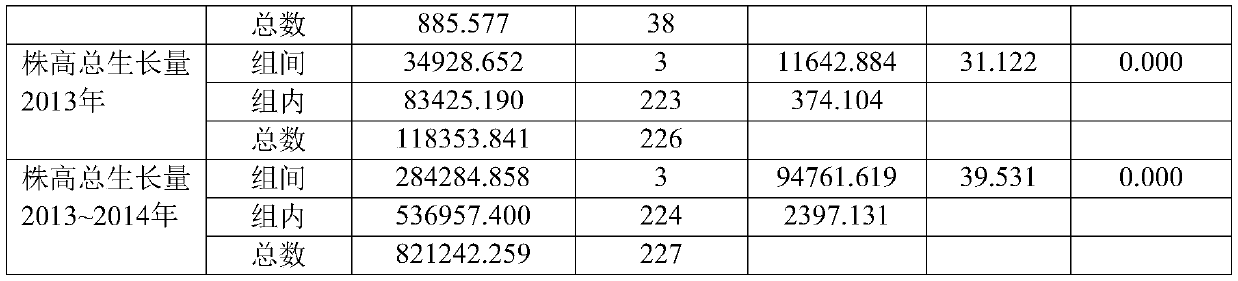 A method for improving the afforestation efficiency of tea tree seedlings in abandoned land in rocky desertification areas