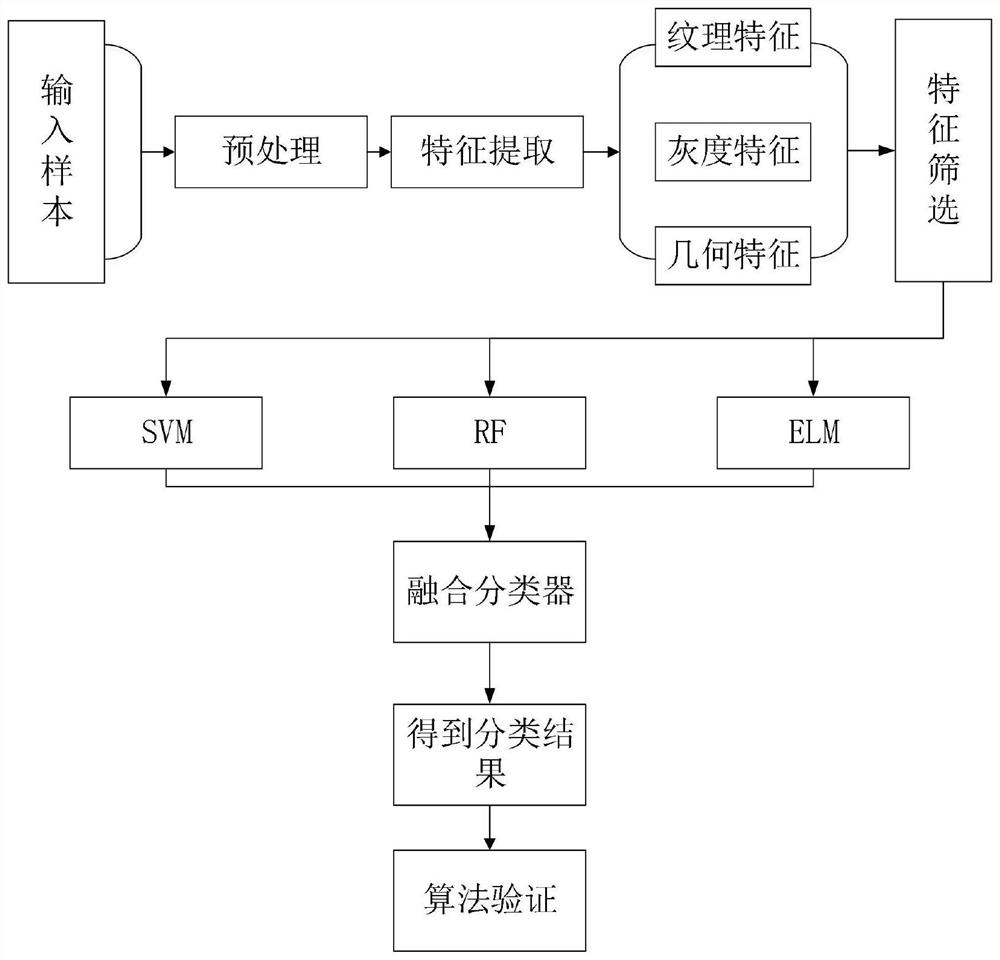 Coronary artery stenosis lesion degree identification method based on multi-classifier fusion