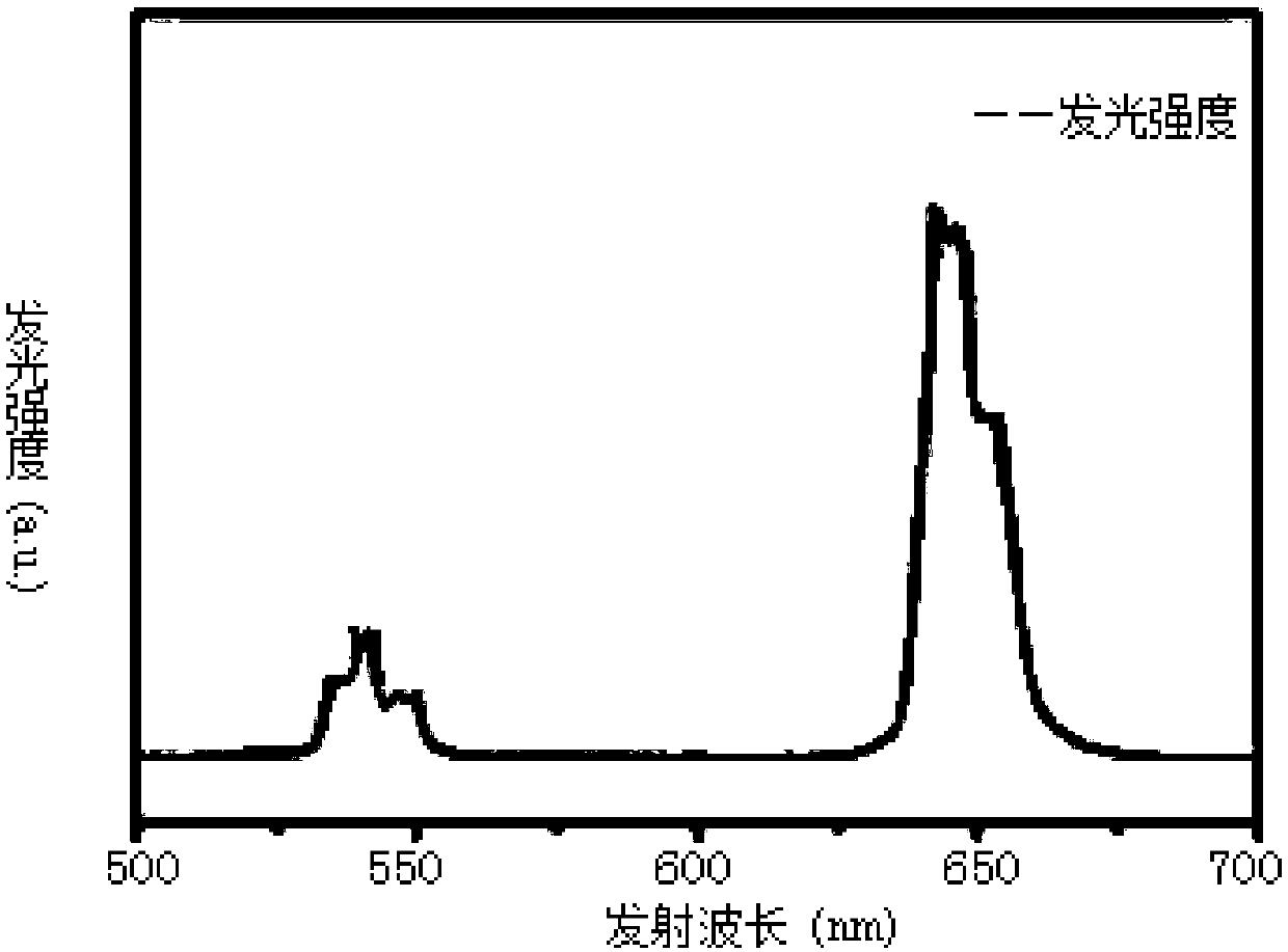 Synthetic method and application of 'BYC tracer agent'