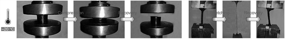 A functional double network hydrogel and its application