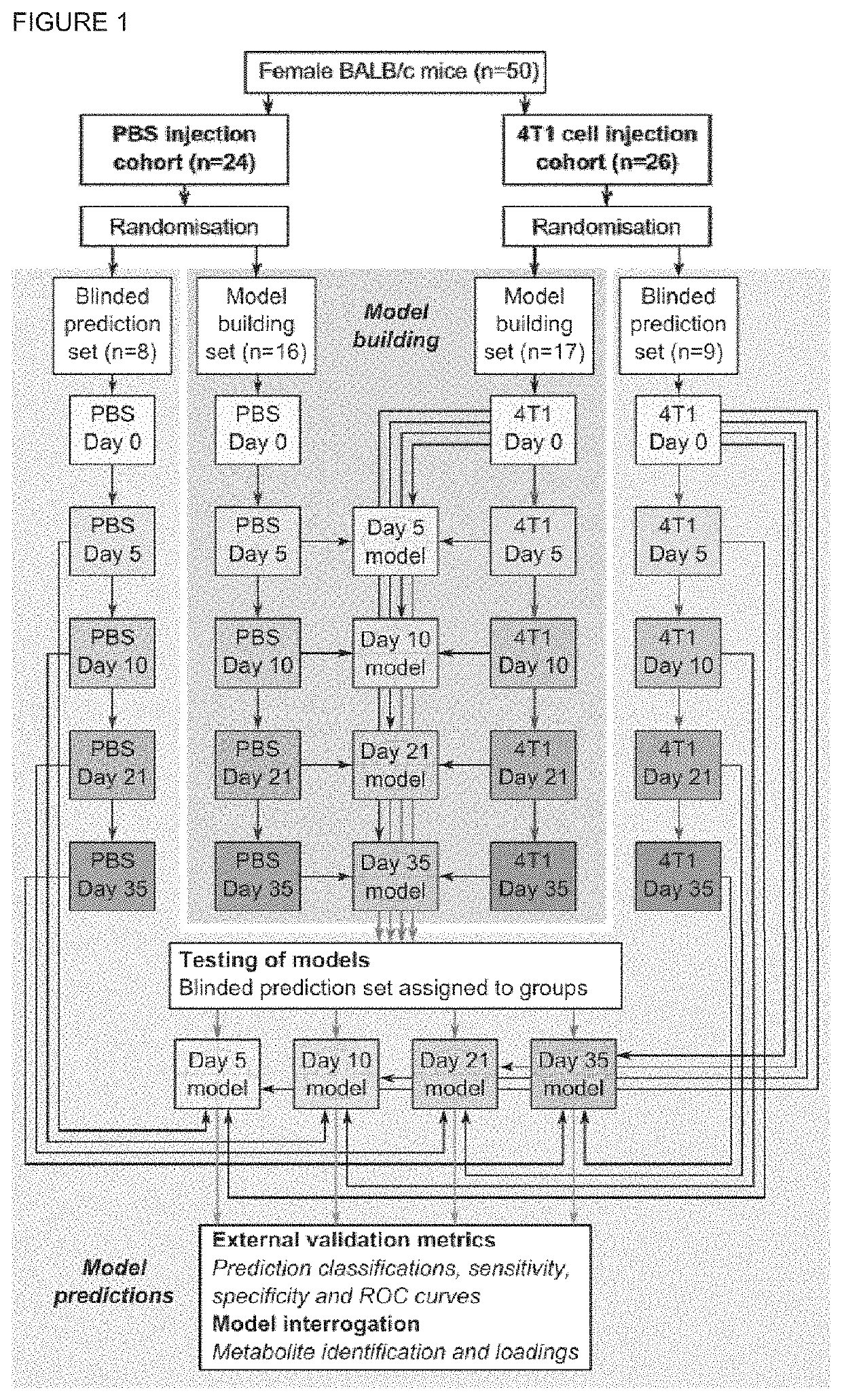 Method for diagnosing a brain tumour in a human