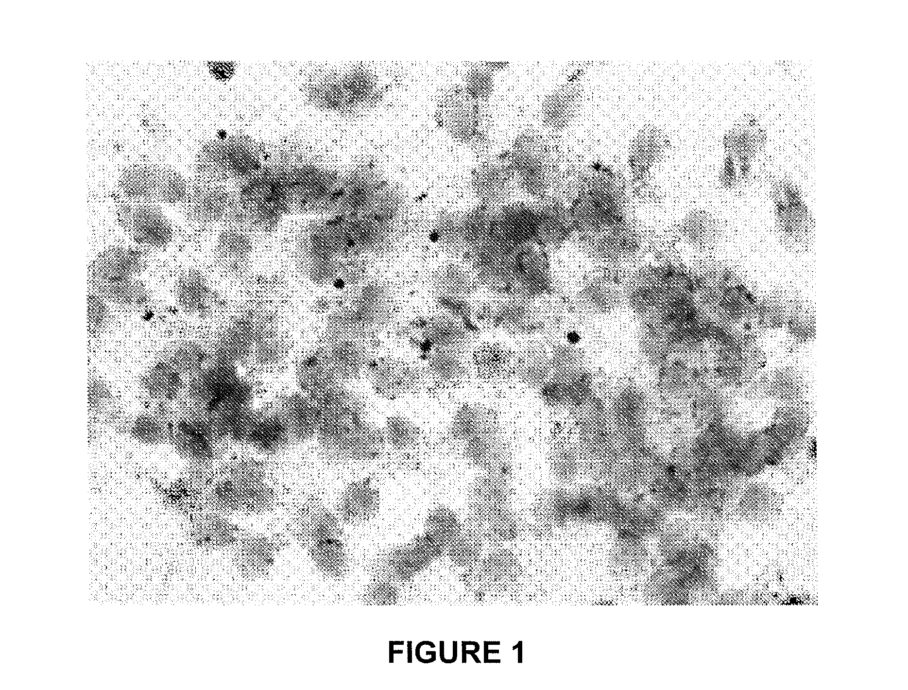 Method For Determining The Production Of Reactive Oxygen Species In A Cellular Population