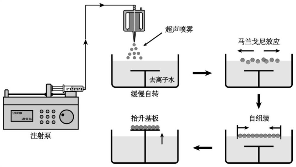 A method for preparing large-area single-layer colloidal crystal templates by ultrasonic spraying