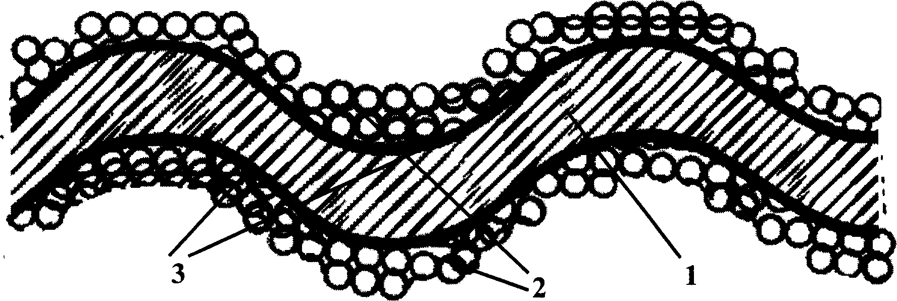 Dye sensitization solar cell and working electrode thereof